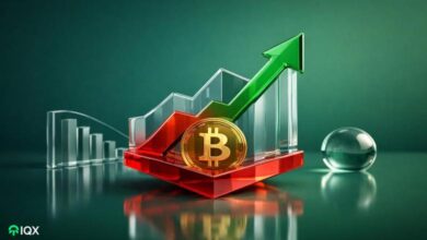 analysis company announces bottom for bitcoin btc shares what it expects next