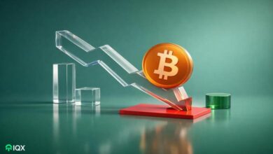 bitcoin s decline isn t over yet analysis company lists reasons and predicts bottom price